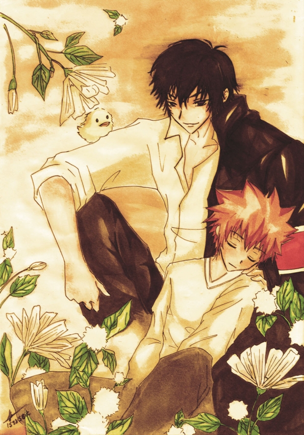 tsuna and hibari