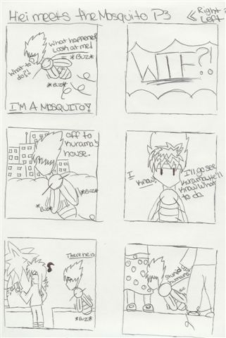 Hiei Meets Mosquito P3