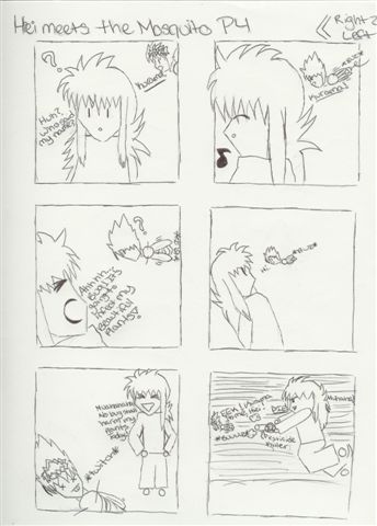 Hiei Meets Mosquito P4