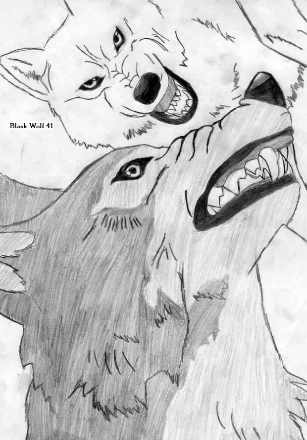 Tsume Fighting Kiba 2