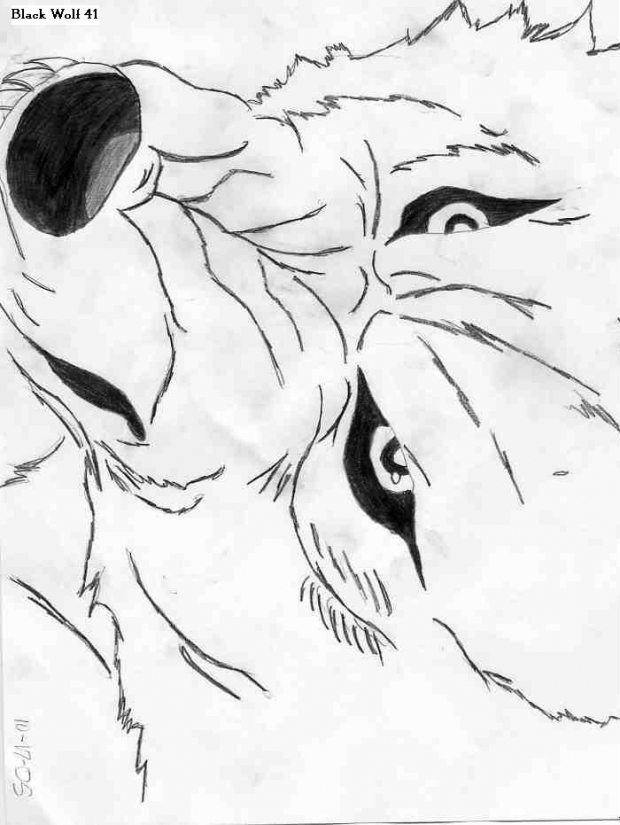 Kiba Trying To Bite Tsume