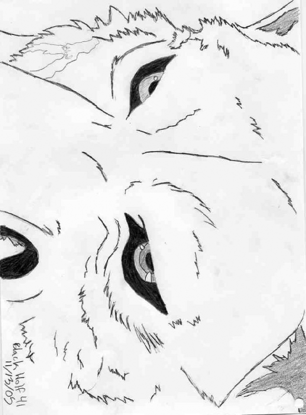 Kiba Fighting Darcia