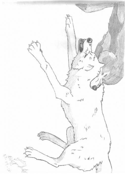 Kiba In Another Fight