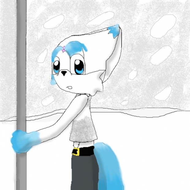 Saphire's Winter Coat