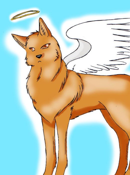 Wing Wolf