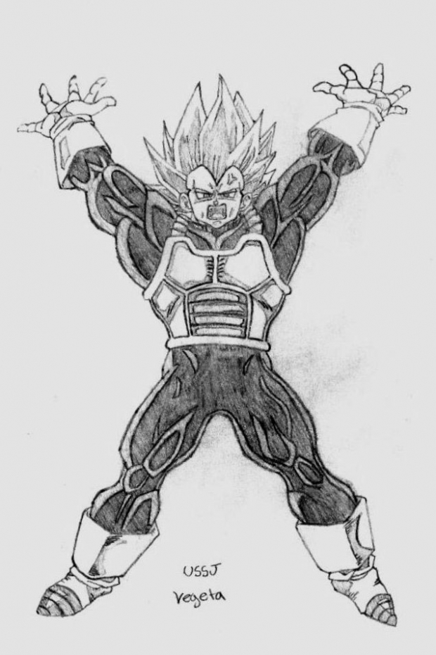 USSJ Vegeta