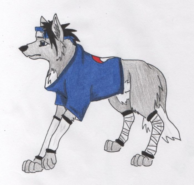 Sasuke Wolf