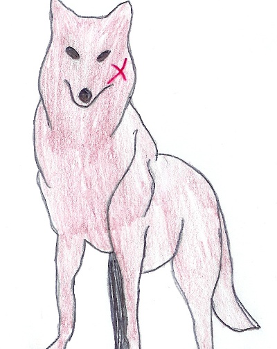 Kenshin Himura As A Wolf