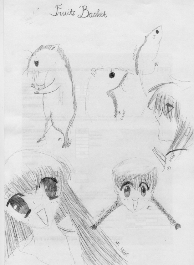 Fruits Basket