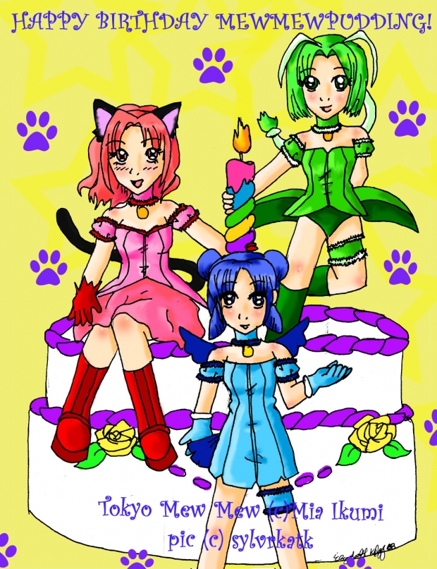 Happy Belated Birthday MewMewPudding!