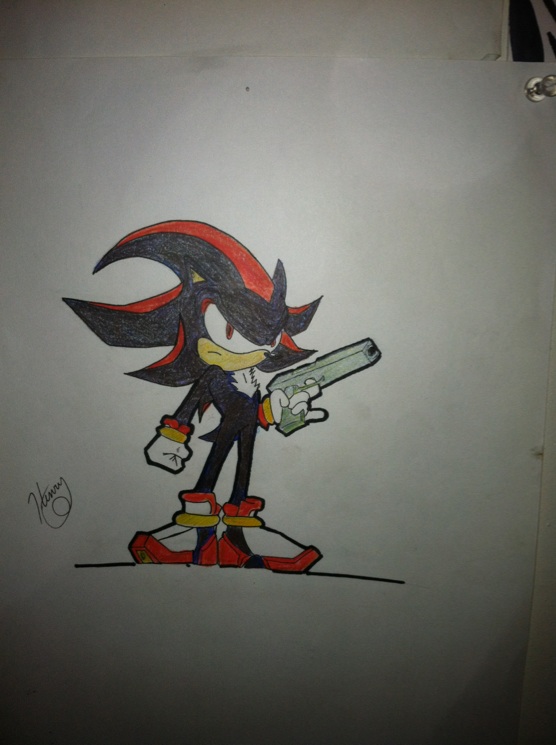 shadow the headgehog