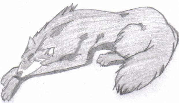 A Sleeping Tsume