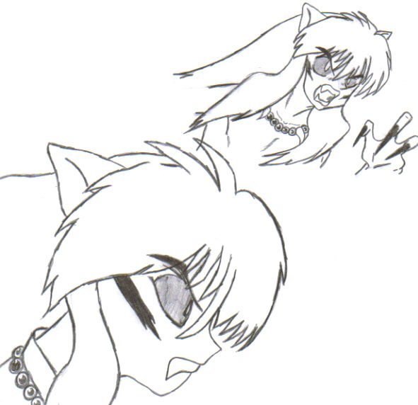 Inu Yasha Demon Form 2