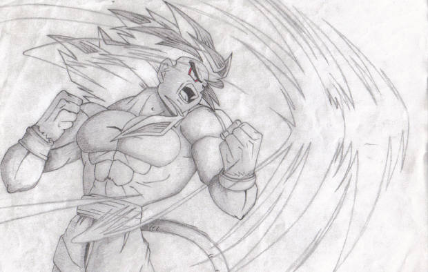 Goku Lv 4