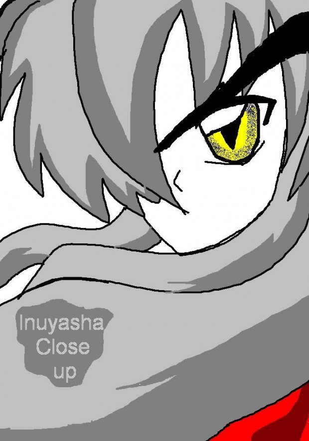 Inuyasha Close Up