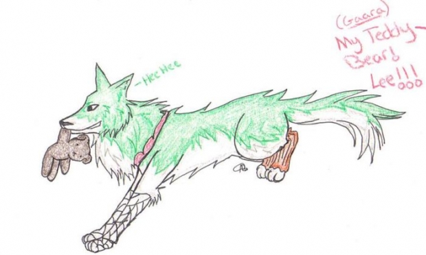 Lee, The Teddy Bear Stealer