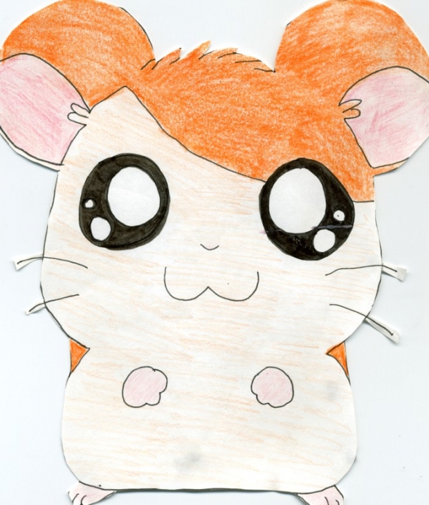 Hamtero The Hamster