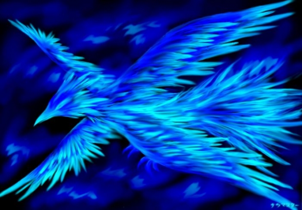 Blue Phoenix