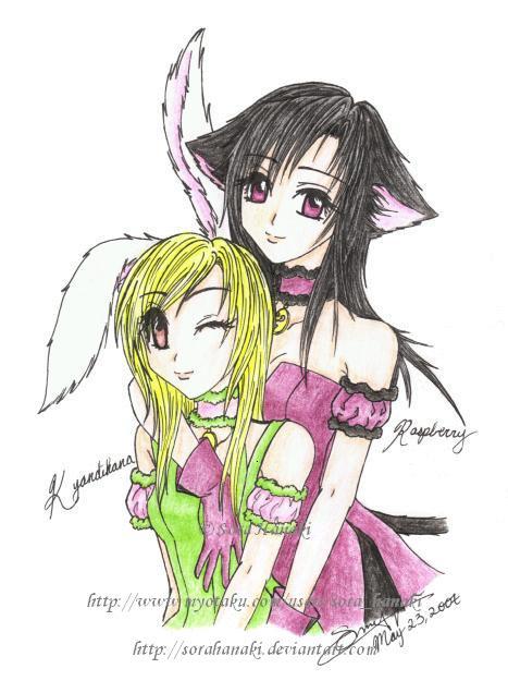 Kazusa's Contest Entry