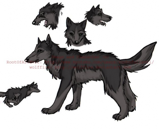 Fallow Sketches Colored