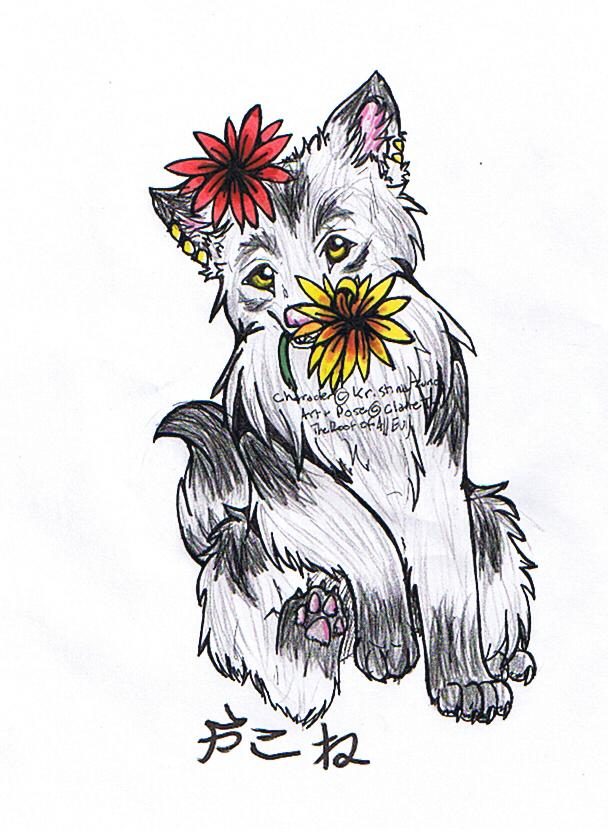 Natsume Trade- Yakone