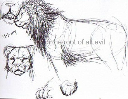 Lion Sketches