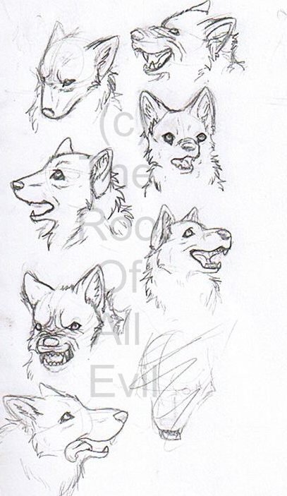 More Wolf Heads
