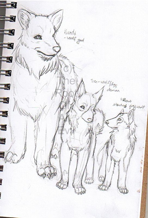 Kuroda, Tien, And Fallow Comparison