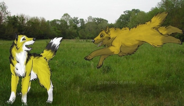 Happy Birthday To Hitonomi