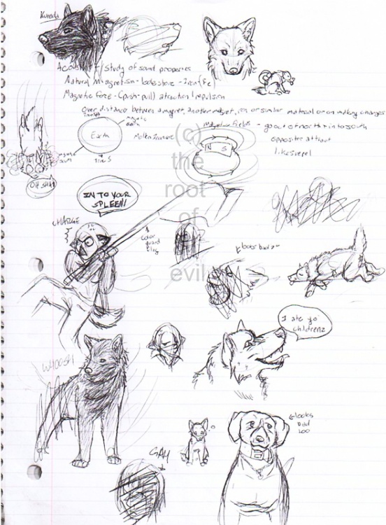 Doodles On Icp Notes