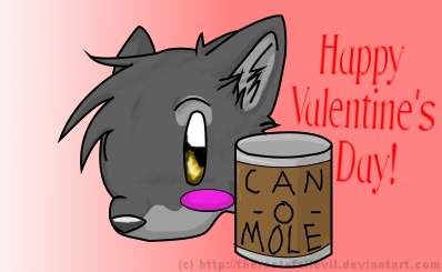 V-day Gift To Booters