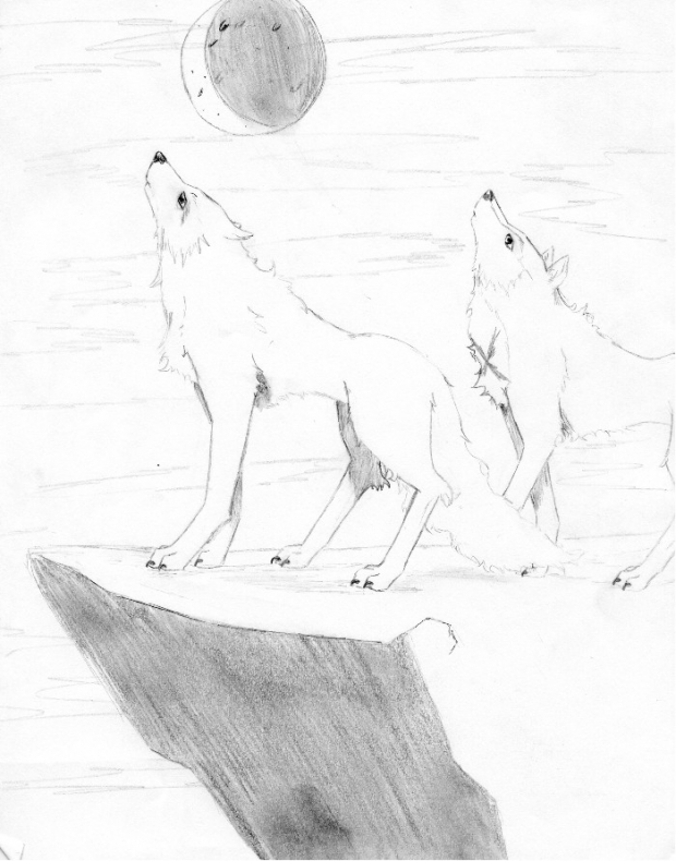 Request  4  Wolf Spirit13