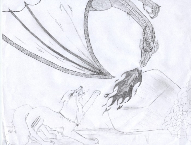 Dragon  Vs  Wolf