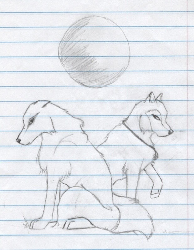 2 Wolves