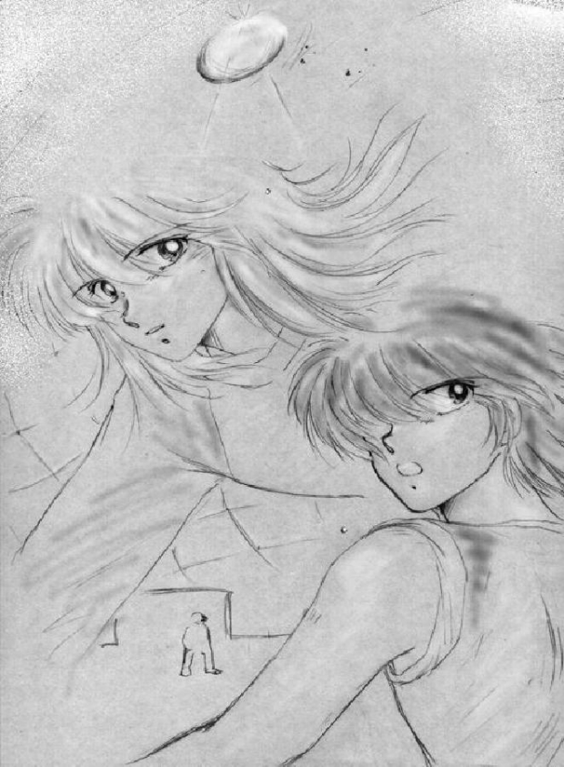 Foxes And Detectives