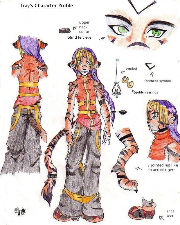 Tray's Character Profile