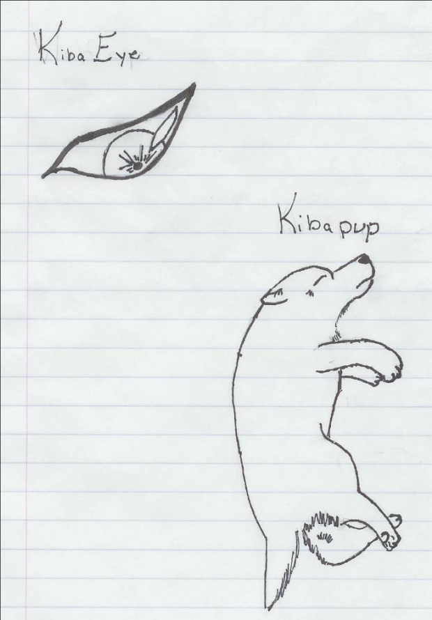 Kiba Eye/pup