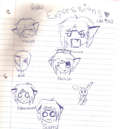 Haku Expressions!