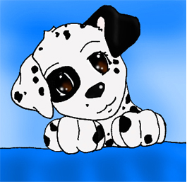 Dalmation