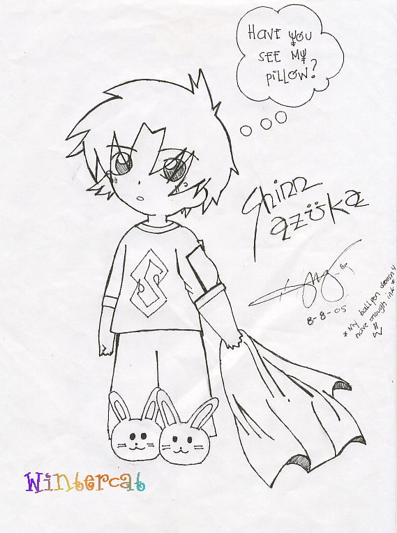 Where's My Pillow..??