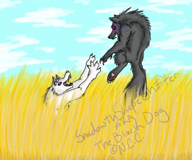 Trade With Kira The Wolf