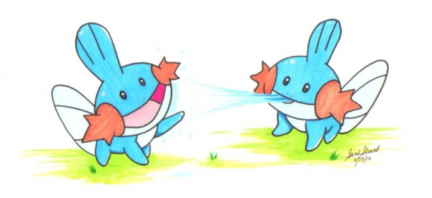 I Herd You Liek Mudkipz