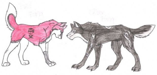 Red And Silver Fang's