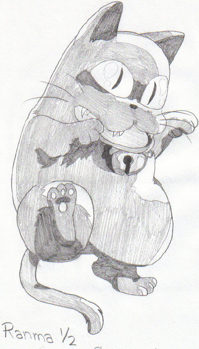 Shampoo's Giant Cat!