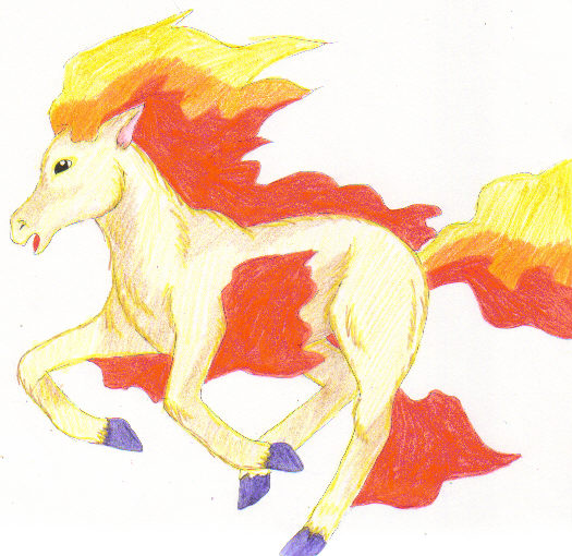 Ponyta
