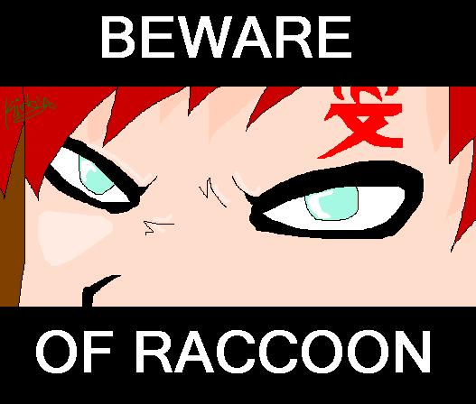 Beware Of Raccoon