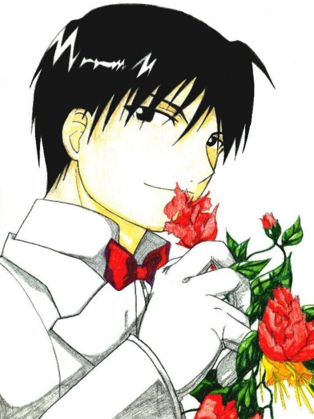 Roy Mustang Bbi