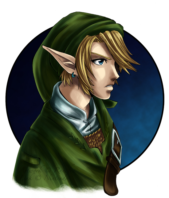 Link - Twilight Princess
