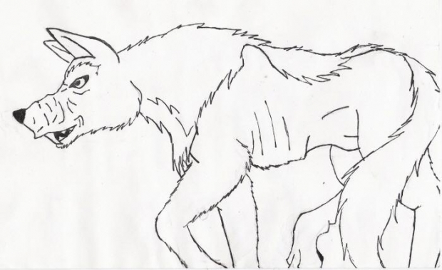 A Random Wolf I Drew