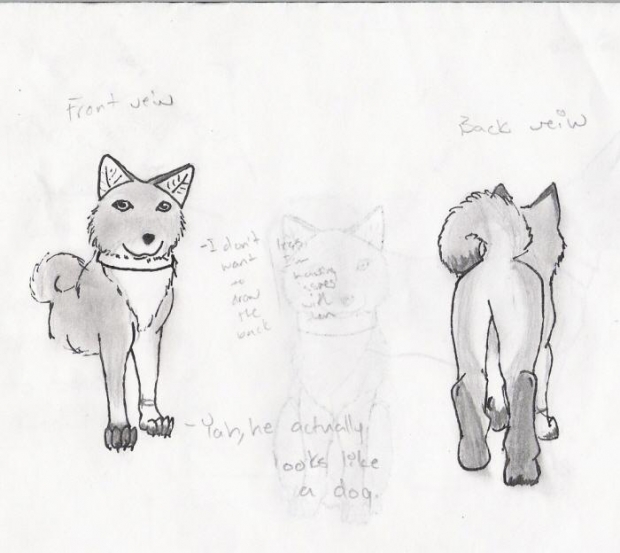 More Nosake Profiles